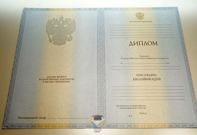 Диплом ДВФУ 2012-2013 годов